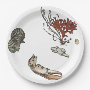 Prato De Papel Antiguamente porcelana francesa de lagosta de Verã