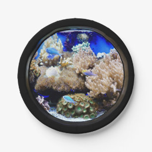 Prato De Papel Aquário peixes tropicais coral água salgada azul p