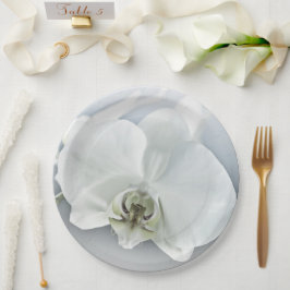 Prato De Papel Arte Botânica de Orquídea Branca Elegante
