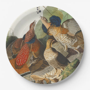 Prato De Papel Arte da Natureza do Galo-da-serra Vintage Audubon