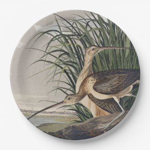 Prato De Papel Arte de Ave Vintage Audubon Maçarico-grande
