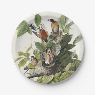 Prato De Papel Arte de ninho de pássaro do melro-americano Audubo