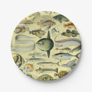 Prato De Papel Arte De Pesca Científica Dos Peixes Vintage