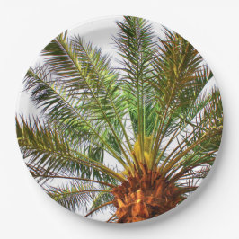 Prato De Papel Árvore de Data