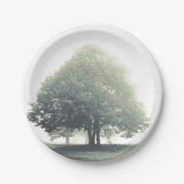 Prato De Papel Árvore na placa de janto do nevoeiro