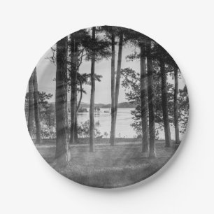 Prato De Papel Árvores De Perigo À Escala De Cinza De Rocha Mes