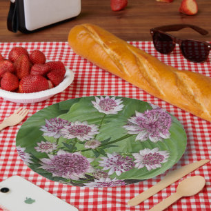 Prato De Papel Astrantia Rosa Blooms Floral