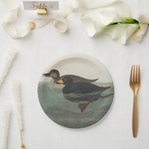 Prato De Papel Audubon American Scoter Duck