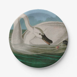 Prato De Papel Aves do Cisne da América - Impressão de Audubon