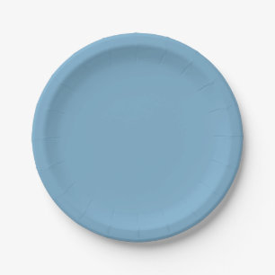 Prato De Papel Azul pastel sólido, seco, em forma simples