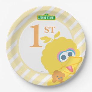 Prato De Papel Baby Big Bird Birday