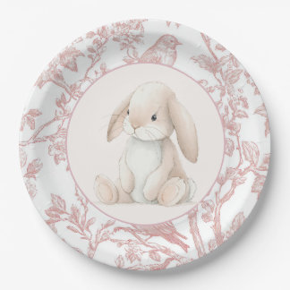 Prato De Papel Baby Girl First Birthday Party Paper Plates