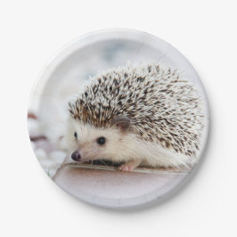 Prato De Papel Baby Hedgehog