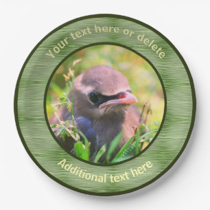 Prato De Papel Baby Waxwing Bird Nature Partido Personalizado