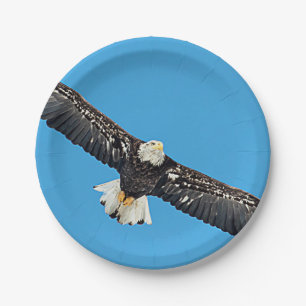 Prato De Papel Bald Eagle em voo