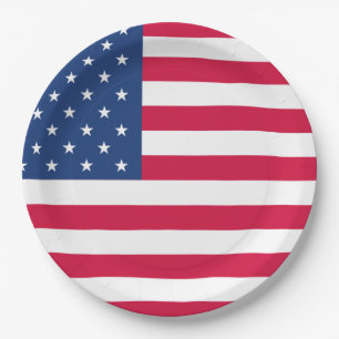 Prato De Papel Bandeira Americana  4 de julho