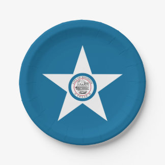 Prato De Papel Bandeira da cidade de Houston, Texas Paper Plates