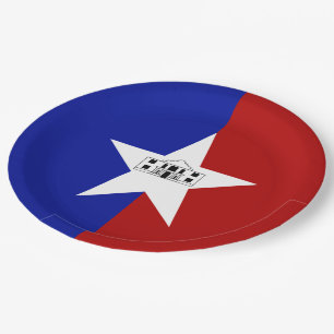 Prato De Papel Bandeira da cidade de San Antonio