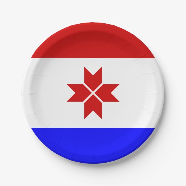 Prato De Papel Bandeira da Mordóvia (Frente)