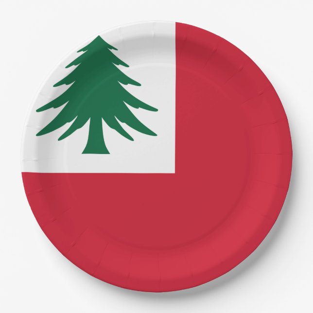 Prato De Papel Bandeira da Nova Inglaterra (Frente)