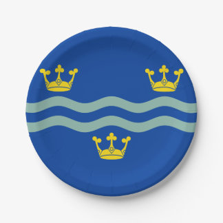 Prato De Papel Bandeira de Cambridgeshire Paper Plates