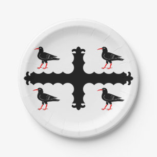 Prato De Papel Bandeira de Flintshire Paper Plates