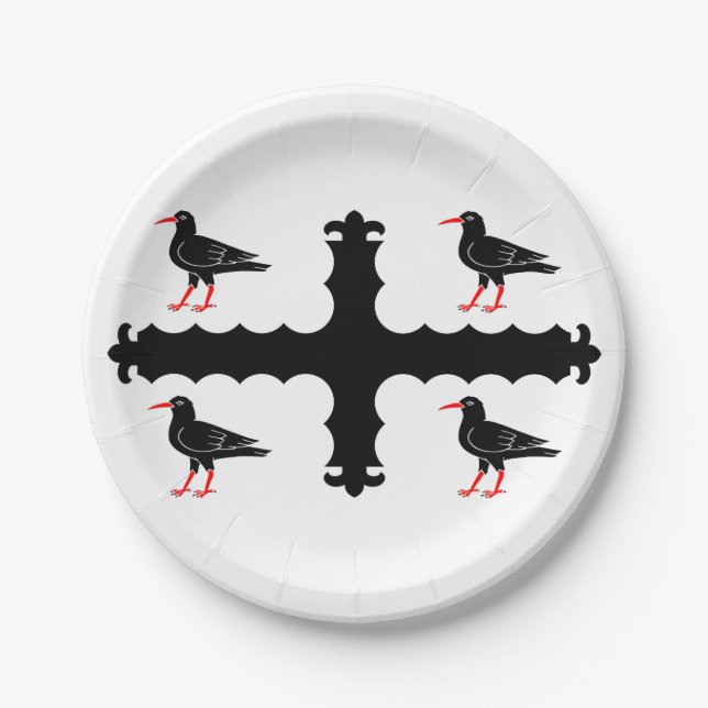 Prato De Papel Bandeira de Flintshire Paper Plates (Frente)