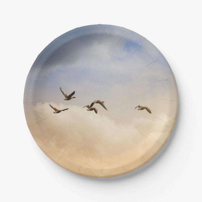 Prato De Papel Bando de Aves em Voo (Frente)