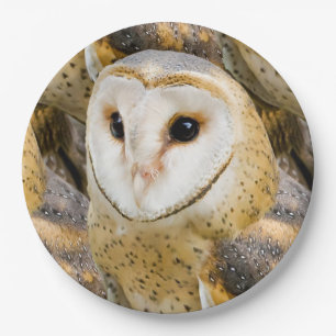 Prato De Papel Barn Owl