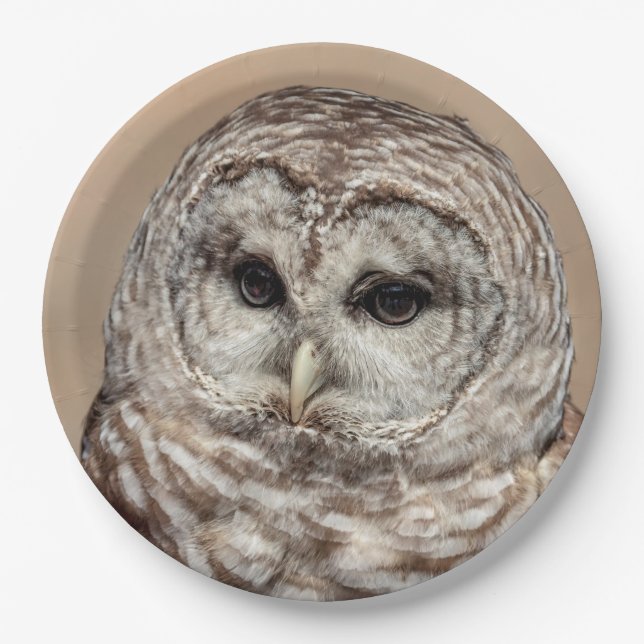 Prato De Papel Barred Owl (Frente)