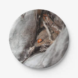 Prato De Papel Base de cartão foto de um joaninha