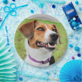 Prato De Papel Beagle