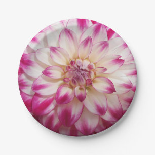 Prato De Papel Beaux