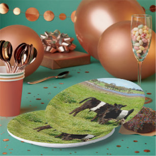 Prato De Papel Bebê Beliscado Vitelos Galloway, Placas De Papel