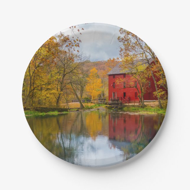 Prato De Papel Beco (Frente)