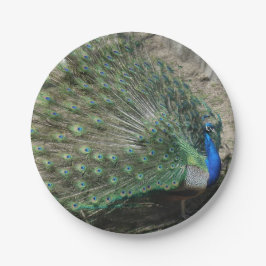 Prato De Papel Belíssimo Pavão