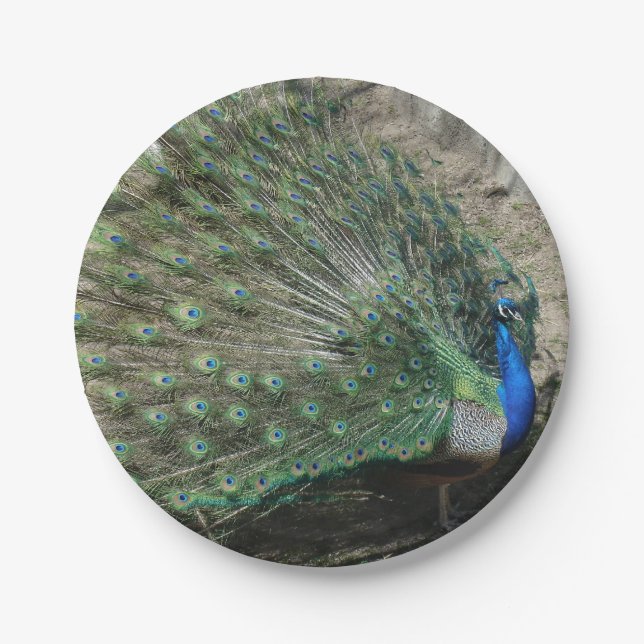 Prato De Papel Belíssimo Pavão (Frente)