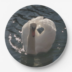 Prato De Papel Belo cisne branco