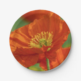 Prato De Papel Belo papa vermelho