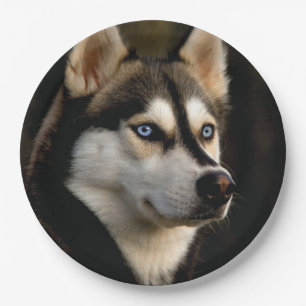 Prato De Papel Belo Travesseiro decorativo Rouco