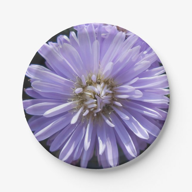 Prato De Papel Berlinette (Frente)