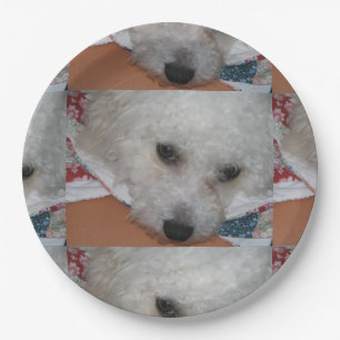 Prato De Papel Bichon Frisé.png