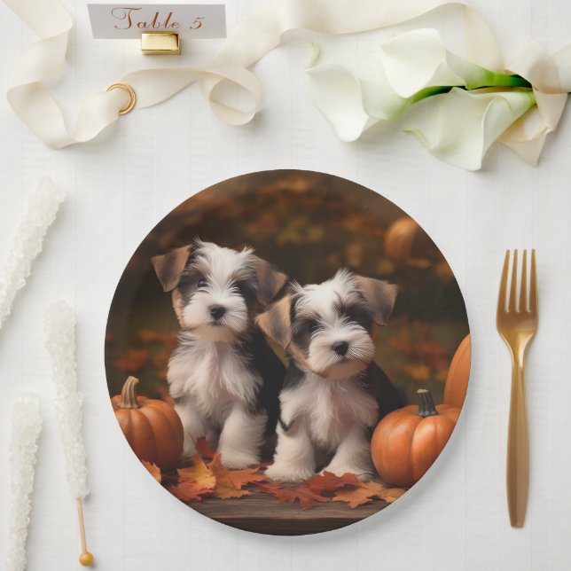 Prato De Papel Biewer Terrier Puppy Autumn Delight Pumpkin (Casamento)