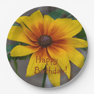 Prato De Papel Birthday Black Eyed Susan
