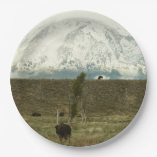 Prato De Papel Bison no Grand Teton National Park Fotografia