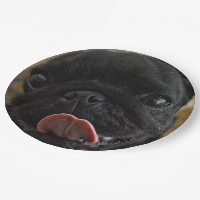 Prato De Papel black pug licking (Inclinado)