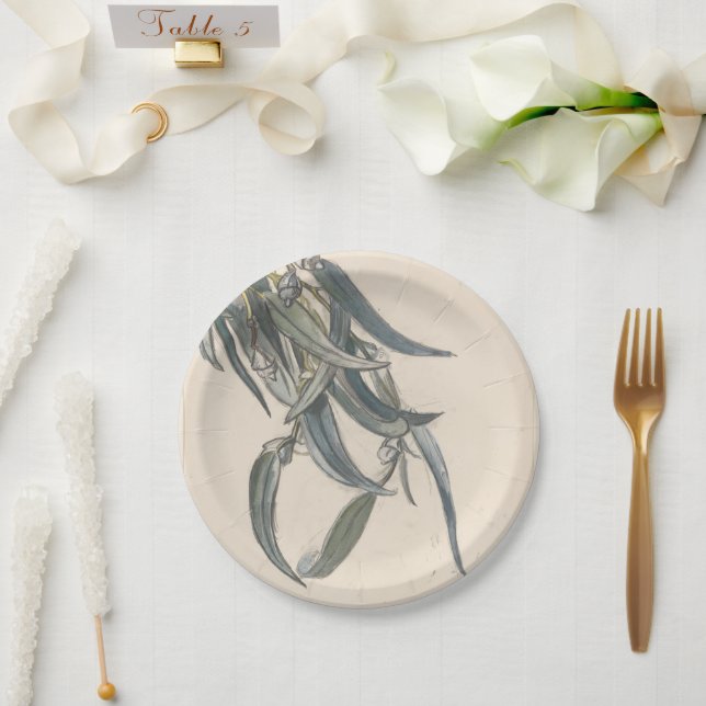 Prato De Papel Bloeiende tak van een eucalyptus (Casamento)