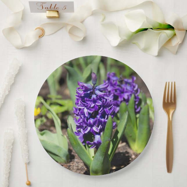 Prato De Papel Blue Geocinth em primavera (Casamento)