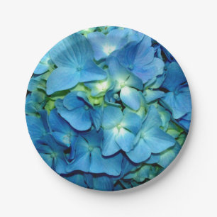 Prato De Papel Blue Hydrangea
