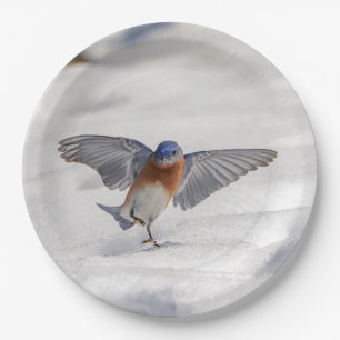 Prato De Papel Bluebird oriental dançando na neve